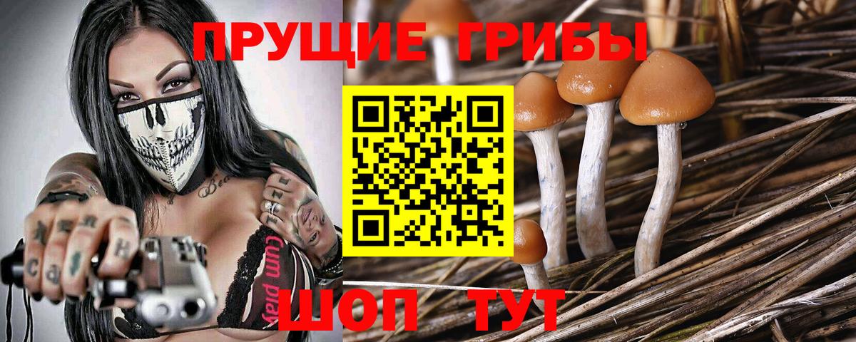 Галлюциногенные грибы прущие грибы Мытищи