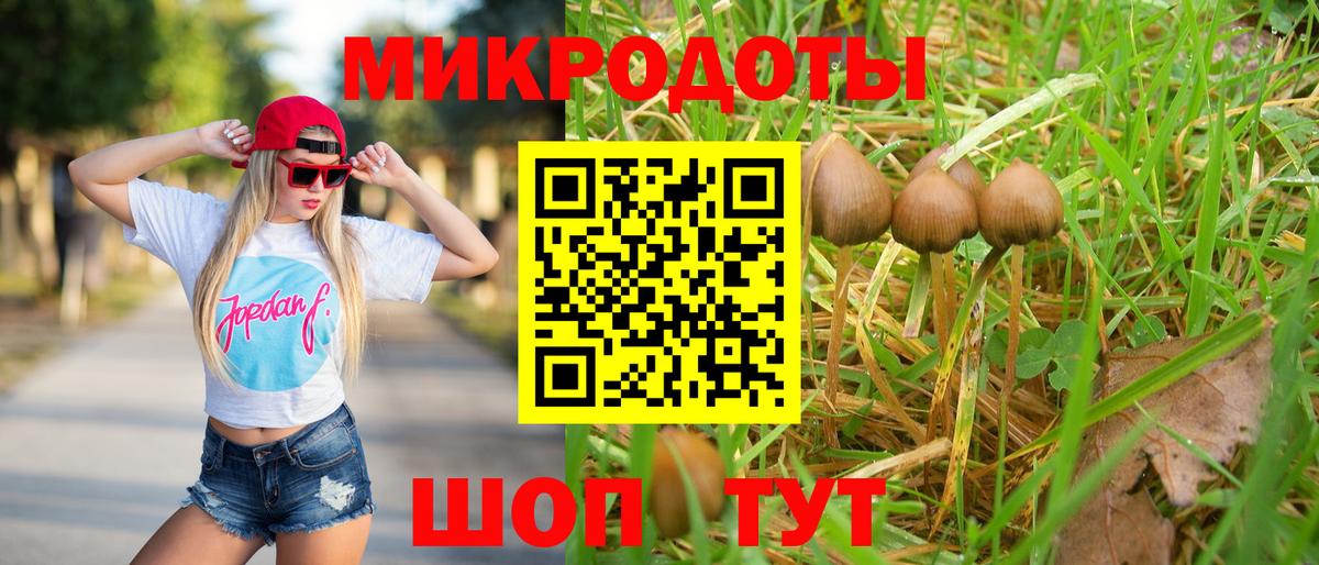Мытищи  Псилоцибиновые грибы Psilocybine cubensis  Вход с VPN 